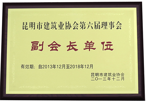 副會(huì)長(zhǎng)單位